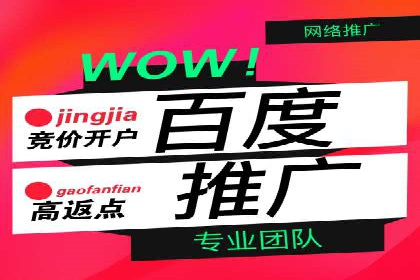 探索百度竞价推广托管的最佳实践与案例分析